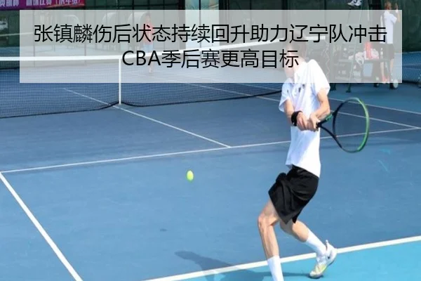 张镇麟伤后状态持续回升助力辽宁队冲击CBA季后赛更高目标