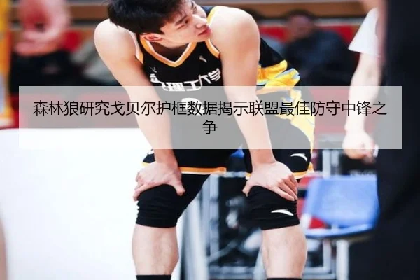 森林狼研究戈贝尔护框数据揭示联盟最佳防守中锋之争